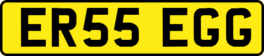 ER55EGG