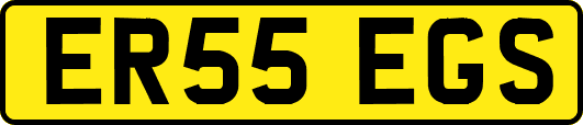 ER55EGS