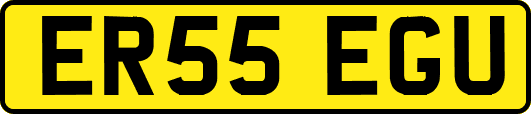 ER55EGU