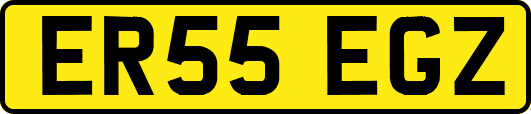 ER55EGZ