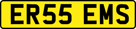 ER55EMS