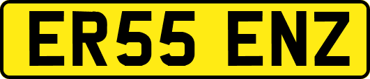 ER55ENZ