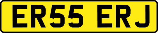 ER55ERJ