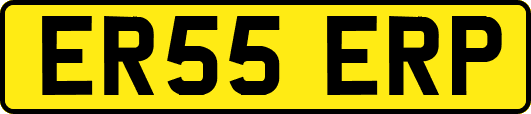 ER55ERP