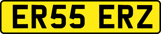ER55ERZ