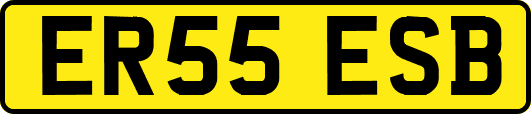 ER55ESB