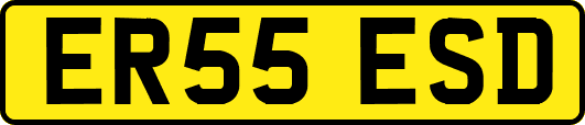 ER55ESD
