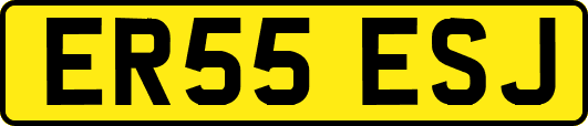 ER55ESJ