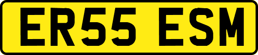 ER55ESM