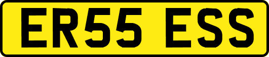ER55ESS