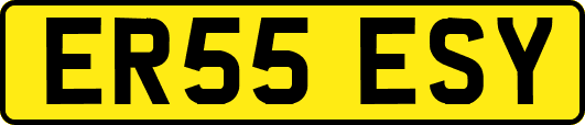 ER55ESY
