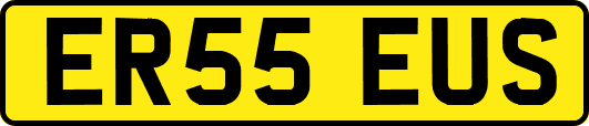 ER55EUS