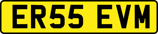 ER55EVM