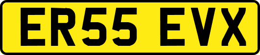 ER55EVX