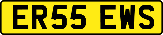 ER55EWS
