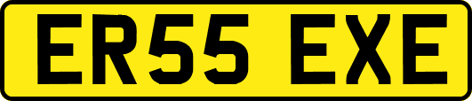 ER55EXE