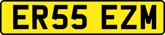 ER55EZM