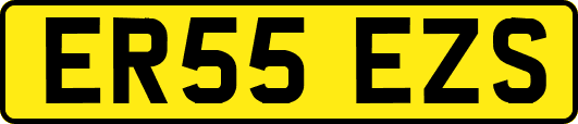 ER55EZS