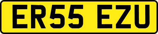ER55EZU