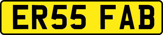 ER55FAB