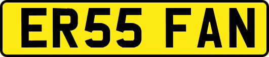ER55FAN