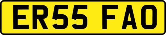 ER55FAO