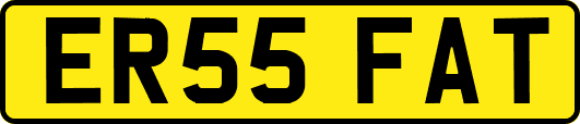 ER55FAT