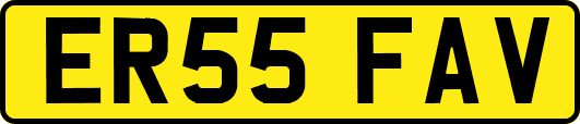 ER55FAV