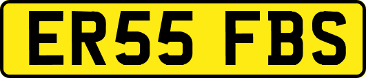 ER55FBS