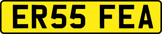 ER55FEA