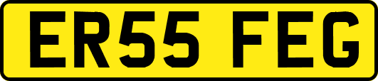 ER55FEG