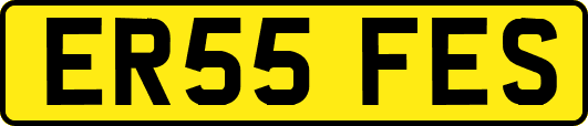 ER55FES
