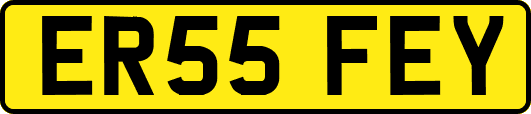 ER55FEY