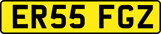 ER55FGZ