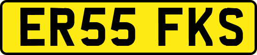 ER55FKS