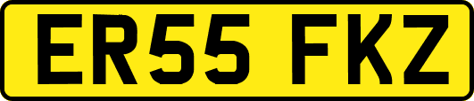 ER55FKZ