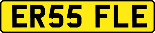 ER55FLE