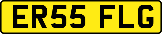 ER55FLG