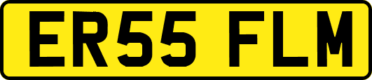 ER55FLM