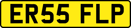 ER55FLP