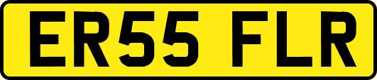 ER55FLR