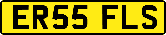 ER55FLS