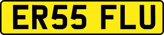ER55FLU