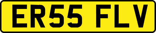 ER55FLV
