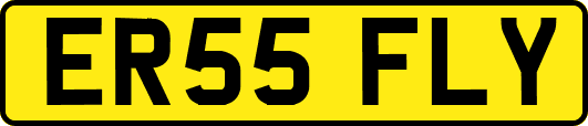 ER55FLY