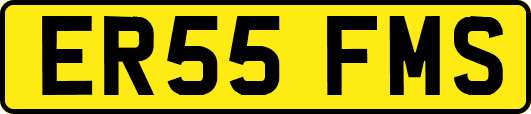 ER55FMS