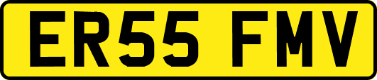 ER55FMV