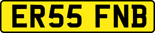 ER55FNB