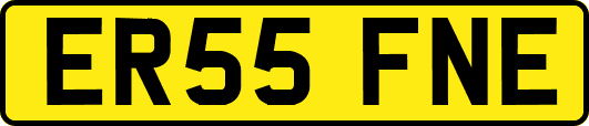 ER55FNE