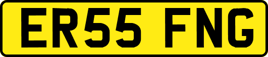 ER55FNG